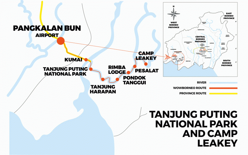 Orangutans of Tanjung Puting NP route map