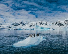 Antarctic Explorer aboard World Explorer Photo 2