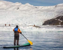 Antarctic Explorer aboard World Explorer Photo 6