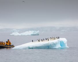 Crossing the Antarctic Circle | Southern Expedition Photo 2