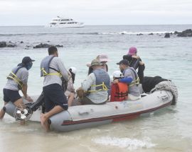 6 Day Galápagos Islands aboard EcoGalaxy (Itinerary B) Photo 2