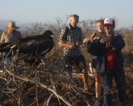 6 Day Galápagos Islands aboard EcoGalaxy (Itinerary B) Photo 6