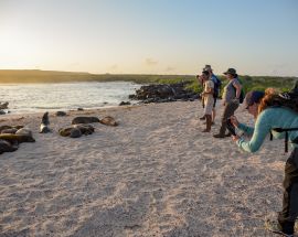 6 Day Galápagos Islands aboard EcoGalaxy (Itinerary B) Photo 9