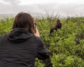 6 Day Galápagos Islands aboard EcoGalaxy (Itinerary B) Photo 11