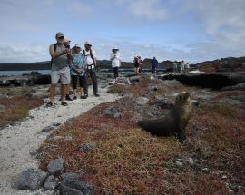 5 Day Galápagos Islands aboard EcoGalaxy (Itinerary A) Photo 5