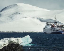 Falkland Islands - South Georgia - Antarctica Photo 7