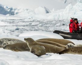 Falkland Islands - South Georgia - Antarctica Photo 8