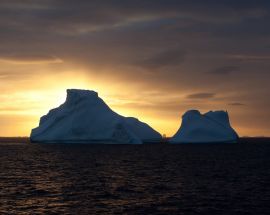 Weddell Sea: In search of the Emperor Penguin Photo 4