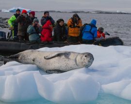 Weddell Sea: In search of the Emperor Penguin Photo 9