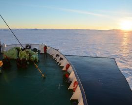 Weddell Sea: In search of the Emperor Penguin Photo 11
