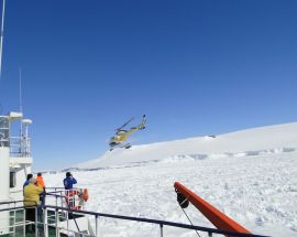 Weddell Sea: In search of the Emperor Penguin Photo 13