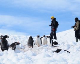 Antarctic Peninsula - Basecamp Ortelius Photo 11