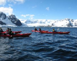 Antarctic Peninsula - Basecamp Ortelius Photo 13