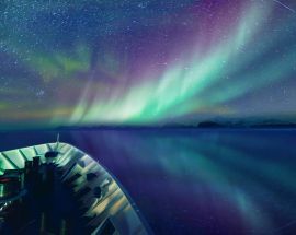 Northern Lights & Arctic Photo 4