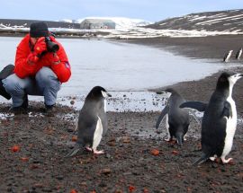 Ultimate Wildlife; Falklands, South Georgia & Antarctica Photo 6