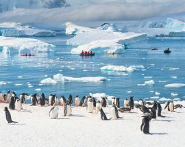 Antarctic Circle Photo 10