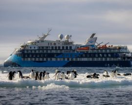 South Shetland Islands & Antarctic Peninsula Photo 12