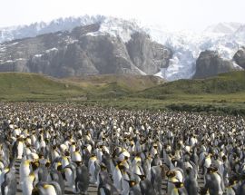 Antarctica Complete Photo 8