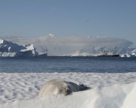 Spirit of Antarctica Photo 4