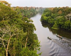 Voyage to the Heart of the Brazilian Amazon Photo 9