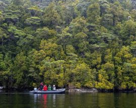 All The Fiords - New Zealand Photo 3