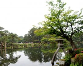 Discover Eternal Japan Photo 6
