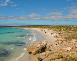 Bounty of the Southern Ocean Photo 2