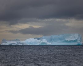 Weddell Sea Discovery Photo 8