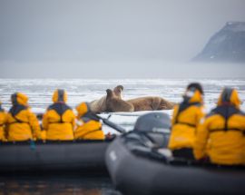 Svalbard Explorer & High Arctic Photo 3