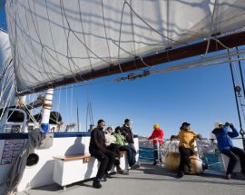 Alpine Peaks of Spitsbergen - Ski & Sail Photo 10