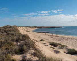 Coral Coast & Abrolhos Islands Photo 3