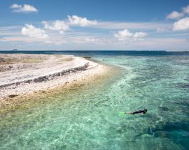 Coral Coast & Abrolhos Islands Photo 5