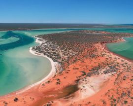 Coral Coast & Abrolhos Islands Photo 8