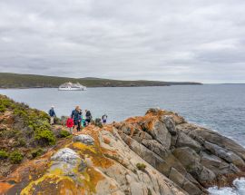 Wild Islands of South Australia Photo 1