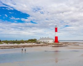 Wild Islands of South Australia Photo 2