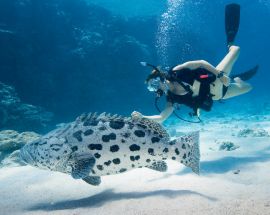 Outerknown Adventures On The Great Barrier Reef Photo 6