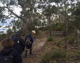 Coastal Wilds of Tasmania Photo 9