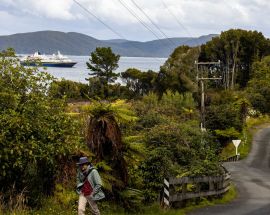 New Zealand Coastal Odyssey Photo 20