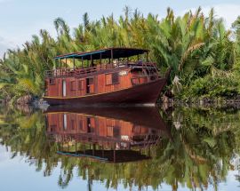 Orangutans of Tanjung Puting NP Photo 2