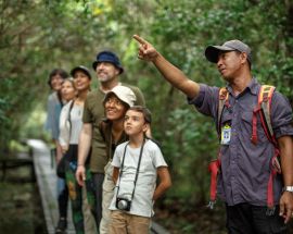 Orangutans of Tanjung Puting NP Photo 8