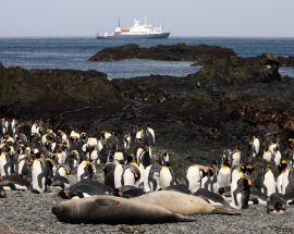 Ross Sea: In the Wake of Scott & Shackleton Photo 12