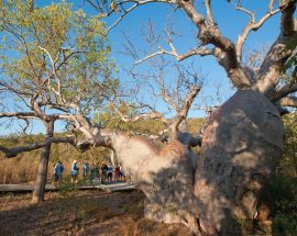 Kimberley Ultimate Quest from Broome Photo 7