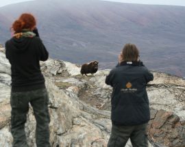 Experience Greenland Sailing Expedition Photo 4