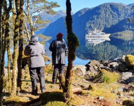 New Zealand's Marlborough Sounds Photo 1