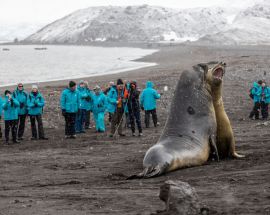 In Shackleton's Footsteps Photo 6