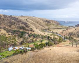 Wild Islands of South Australia Photo 3