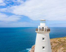 Wild Islands of South Australia Photo 5