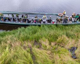 7-night Amazon Manatee Explorer Photo 2