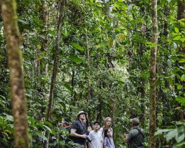 7-night Amazon Manatee Explorer Photo 5