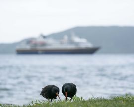 New Zealand Coastal Odyssey Photo 11